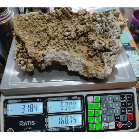 Żywa skała do akwarium morskiego płyta nr. 2